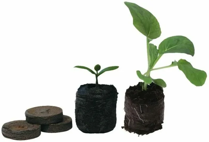 100 x Dischetti di torba pressata per trapianto piantine, Pastiglie neutro 7-33 In saldo - immagine 2