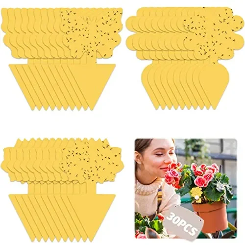 30 PCS Trappola per Mosche Acchiappamosche Adesivo Plant Flycatcher Trappola per Mosche della Frutta Trappola per Insetti per Moscerini, Afidi, Mosche Minatori e Mosche Bianche (30 PCS)