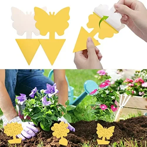 30 PCS Trappola per Mosche Acchiappamosche Adesivo Plant Flycatcher Trappola per Mosche della Frutta Trappola per Insetti per Moscerini, Afidi, Mosche Minatori e Mosche Bianche (30 PCS) - immagine 2