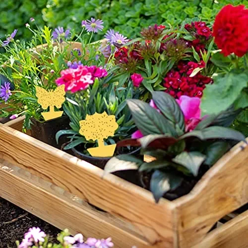 30 PCS Trappola per Mosche Acchiappamosche Adesivo Plant Flycatcher Trappola per Mosche della Frutta Trappola per Insetti per Moscerini, Afidi, Mosche Minatori e Mosche Bianche (30 PCS) - immagine 3