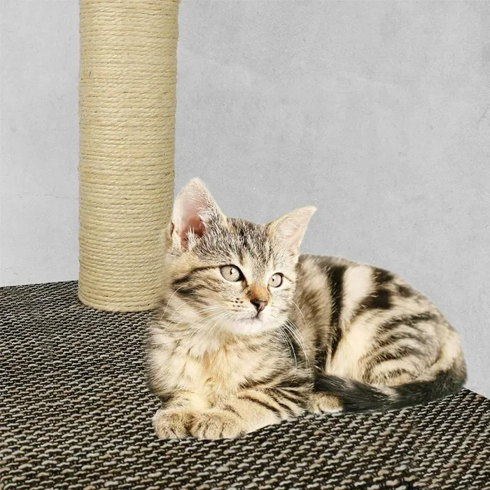 50 metri di corda, in sisal naturale, anche per albero tiragraffi per gatto - immagine 2