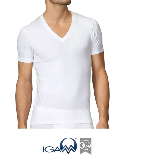 6 T-SHIRT UOMO NOTTINGHAM IN COTONE ART. TV700B COL. FOTO MIS. A SCELTA