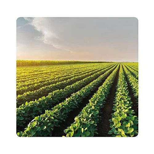 Albagarden – Piante Frutta Naturale Bio Polti20 Biologico Bordolese Rame + Boro Orto Vite Peronospora Oidio Verderame Solfato Ossicloruro x 1 kg - immagine 2