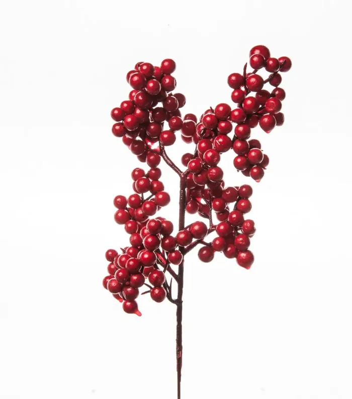 ARPIMEX Bag Natale 12 Bacche Rosse