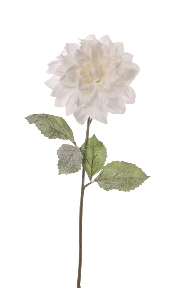 ARPIMEX Dalia Bianca con Foglie Vendita calda