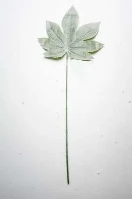 ARPIMEX Foglia Natale Aralia Innevata Verde In saldo