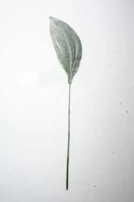 ARPIMEX Foglia Natale Aspidistria Innevata