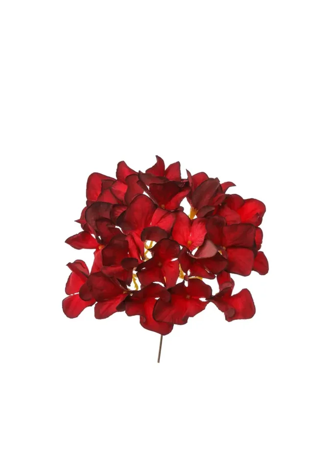 ARPIMEX Pick Ortensia D 20 Cm H 20 Cm Rosso