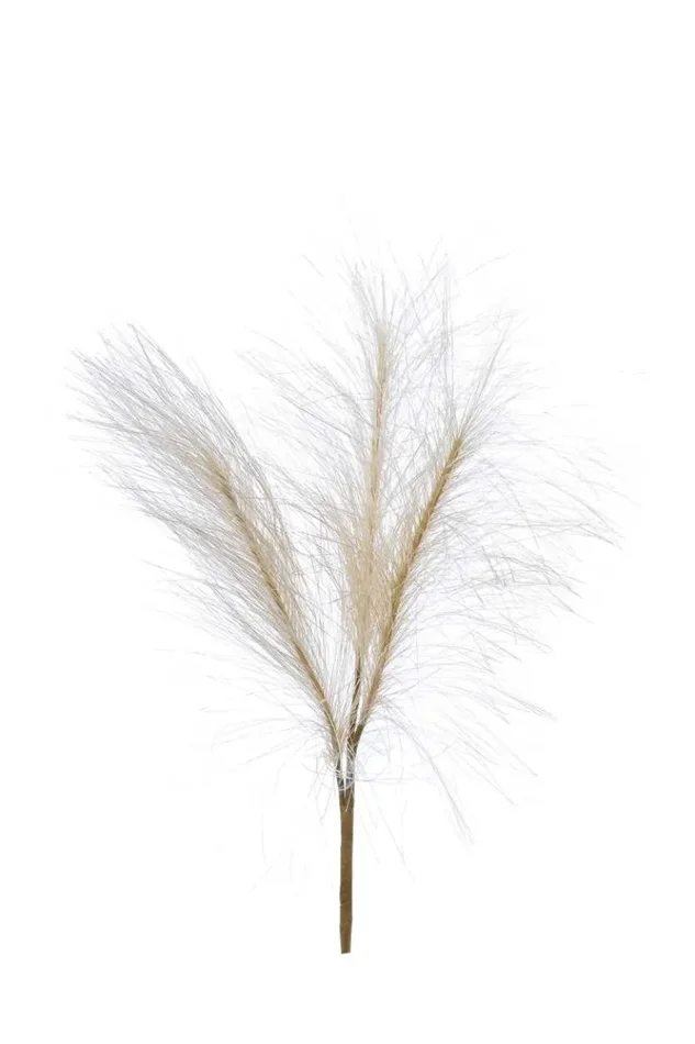 ARPIMEX Pick Pennisetum x 3 H 30 Cm Natural