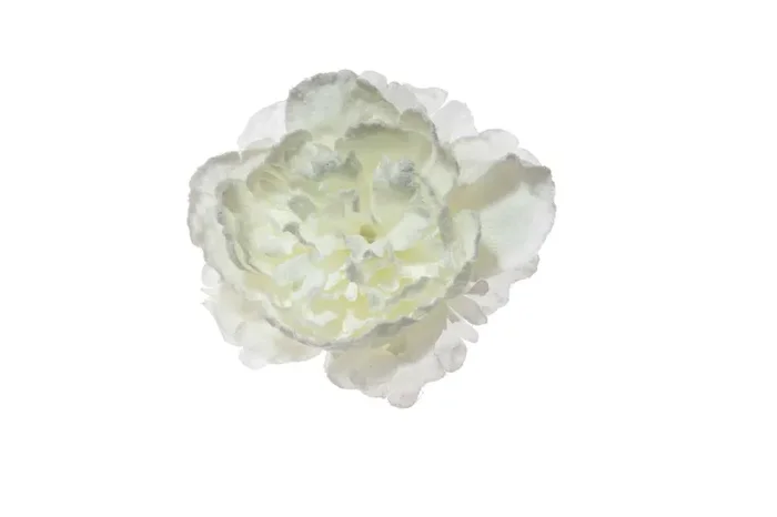 ARPIMEX Pick Peonia Innevata 23 Cm Bianco