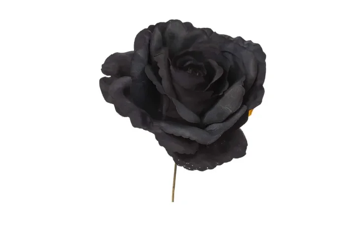 ARPIMEX Pick Rosa Nero