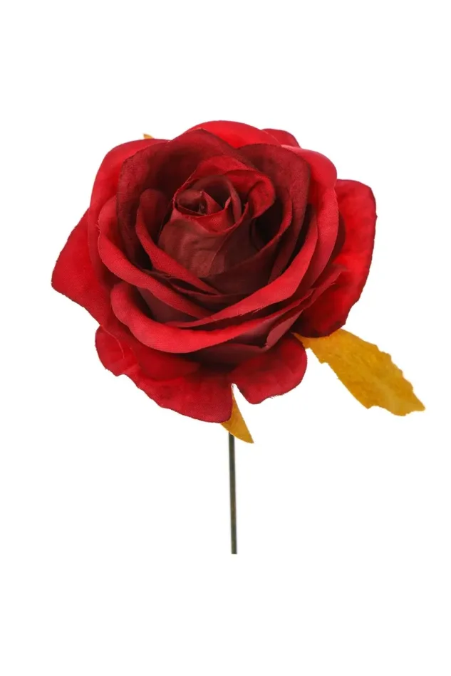 ARPIMEX Pick Rosa Rossa