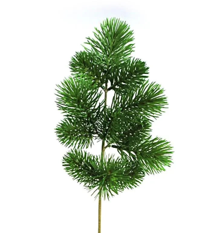 ARPIMEX Rametto Natale Pino 55 Cm Verde