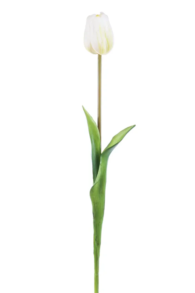 ARPIMEX Tulipano Natural Touch H 47 Cm Bianco 1 Pz