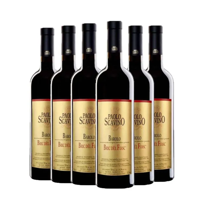 Barolo Bric Del Fiasc 2020 – Paolo Scavino Kit 6 Bottiglie