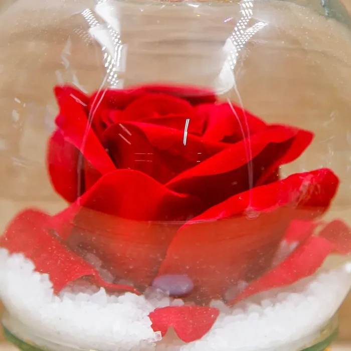 Campana Cristalli con Rosa Rossa e Corona Oro Via Margutta Online ora - immagine 2