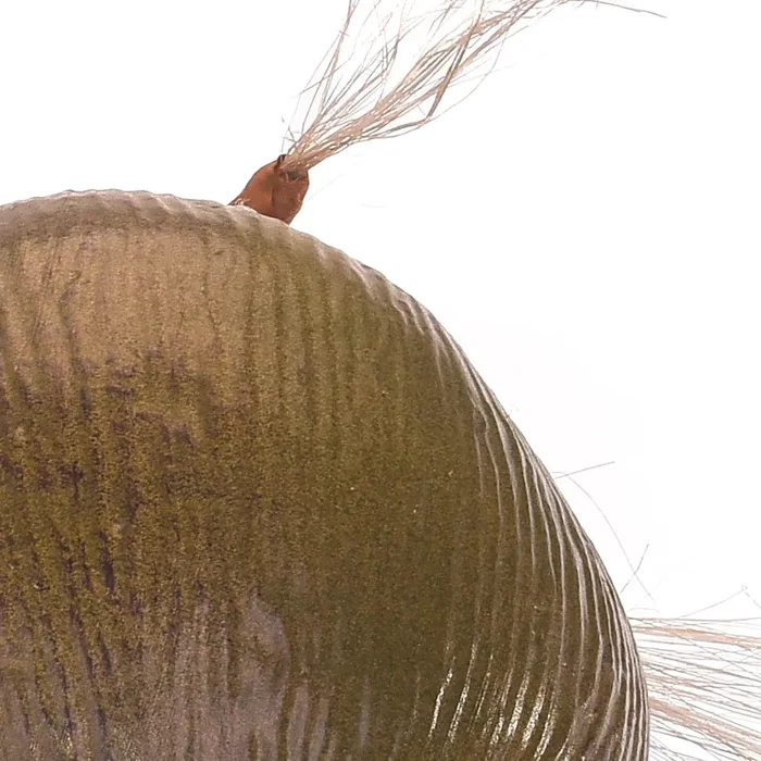 Cocco Artificiale x 3 Altezza 40 cm Online - immagine 3