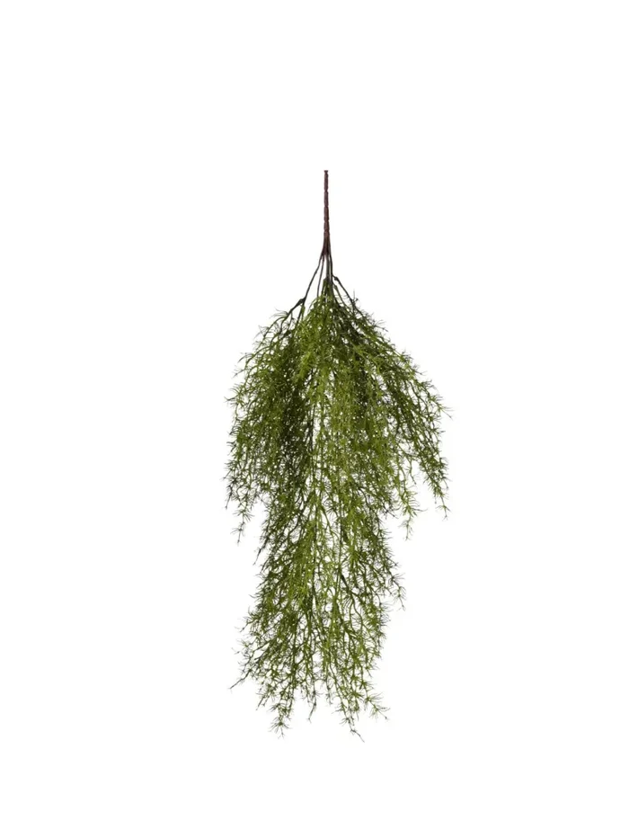 Conti Cadente Asparago 70 Cm Green Fornitura