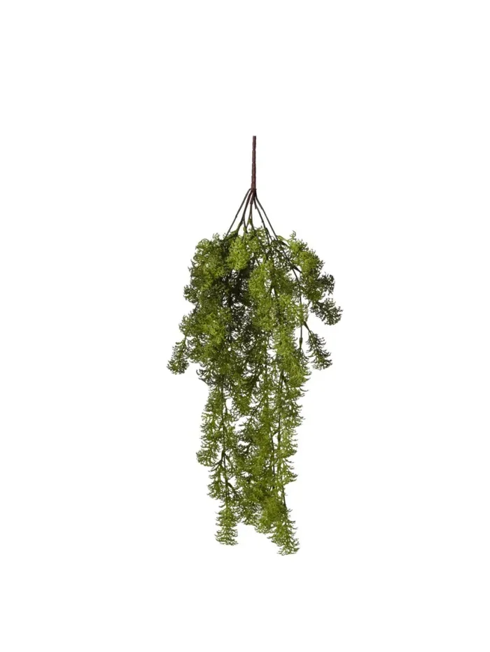 Conti Cadente Muschio 63 Cm Green In saldo