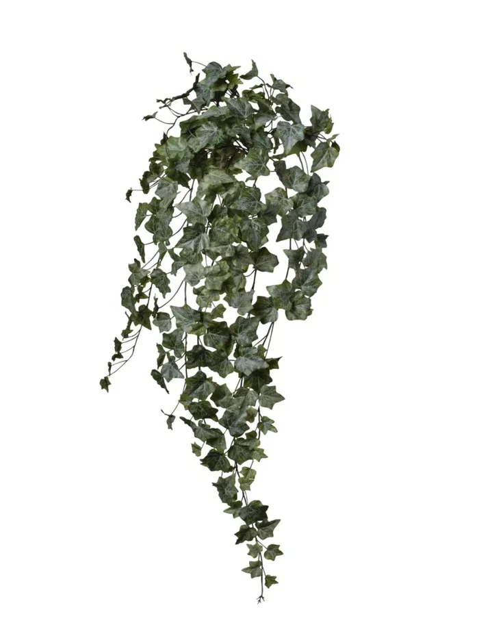 Conti Edera Cadente 244 Foglie L 100 Cm Frosted Green