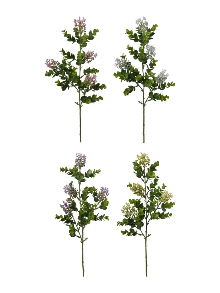 Conti Ramo Bacchine H 60 Cm Assortite 1 Pz