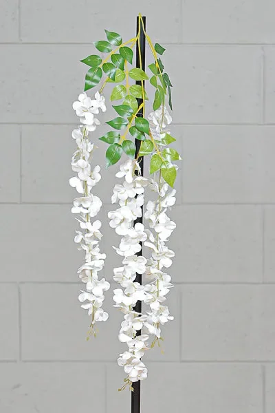 Conti Ramo Glicine 3 Fiori Polybag White