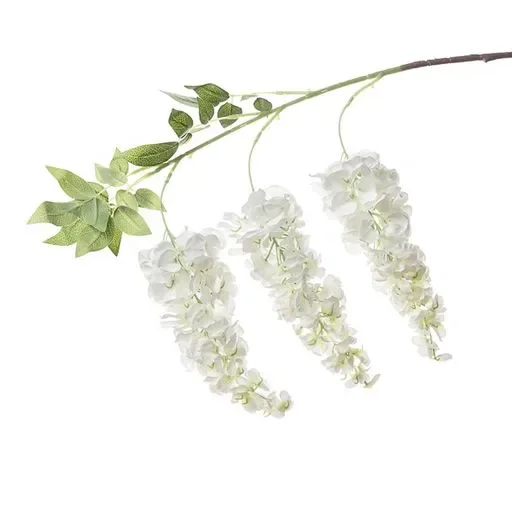 Conti Ramo Glicine 90 Cm White