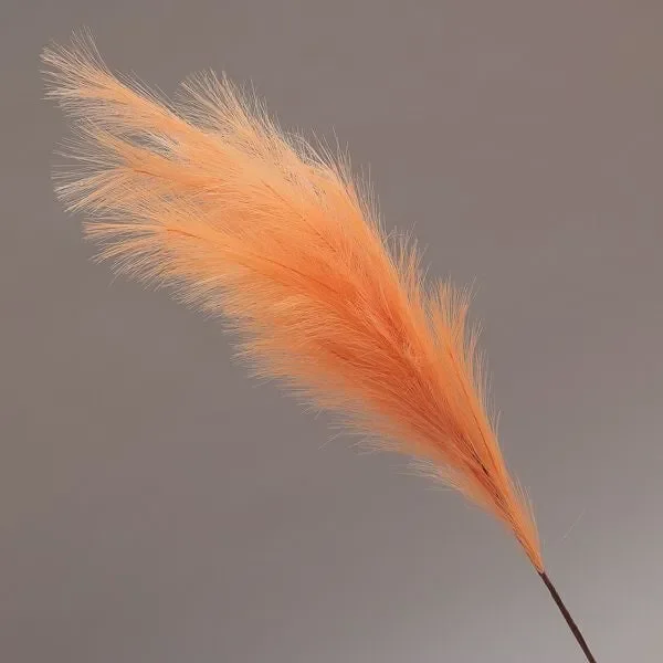 Conti Ramo Pampas 105 Cm Orange