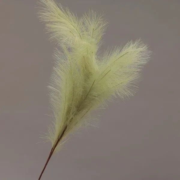 Conti Ramo Pampas 130 Cm Green