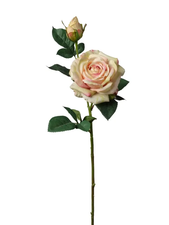 Conti Ramo Rosa H 63 Cm 2 Fiori Champagne Saldi