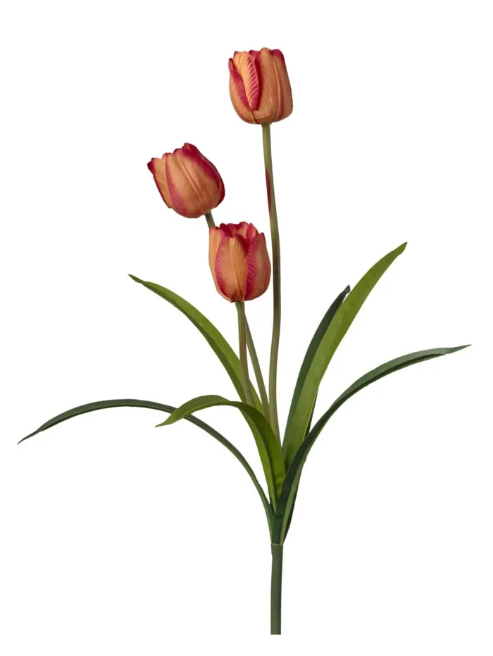 Conti Ramo Tulipano H 50 Cm x 3 Fiori Orange