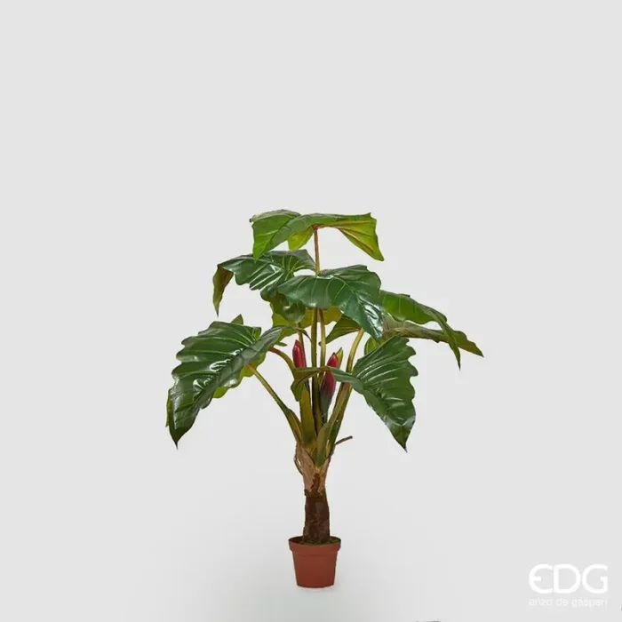 EDG Enzo De Gasperi Alocasia Chic con Vaso Artificiale H 160 Cm Green