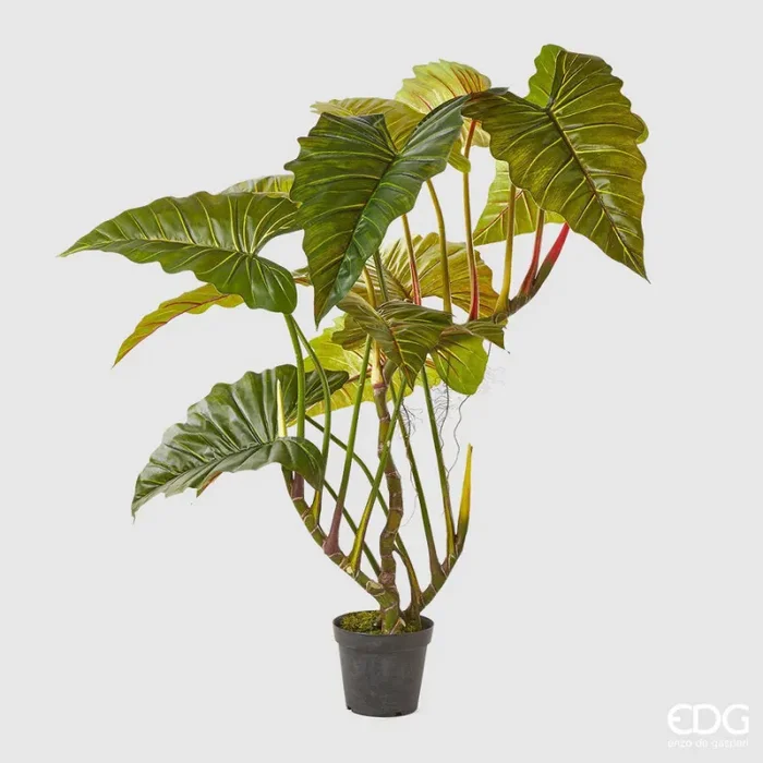 EDG Enzo De Gasperi Alocasia Pianta con Vaso Artificiale H 177 Cm Green