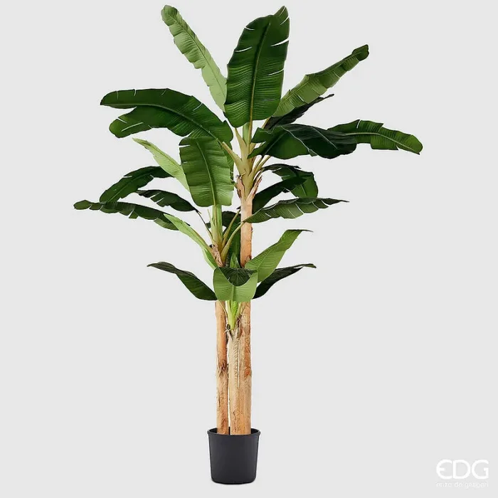 EDG Enzo De Gasperi Banano con Vaso Artificiale H 320 Cm Green In saldo