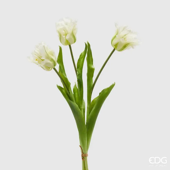 EDG Enzo De Gasperi Bouquet 3 Tulipani Parrot con Foglie Artificiali H 51 Cm White Green