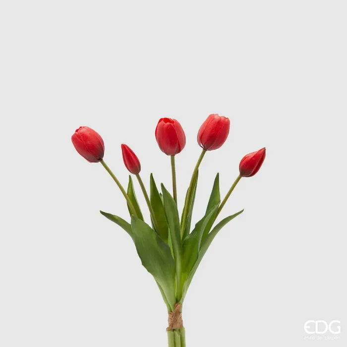 EDG Enzo De Gasperi Bouquet 5 Tulipani con Foglie H 40 Cm Red Online