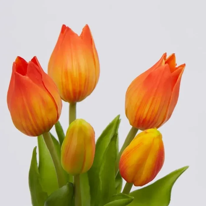 EDG Enzo De Gasperi Bouquet di 5 Tulipani Olis Ass. H 26 Cm Yellow Orange 1 Pz - immagine 2