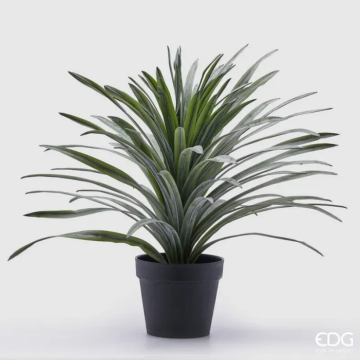 EDG Enzo De Gasperi Bromelia con Vaso Artificiale H 58 Cm Green