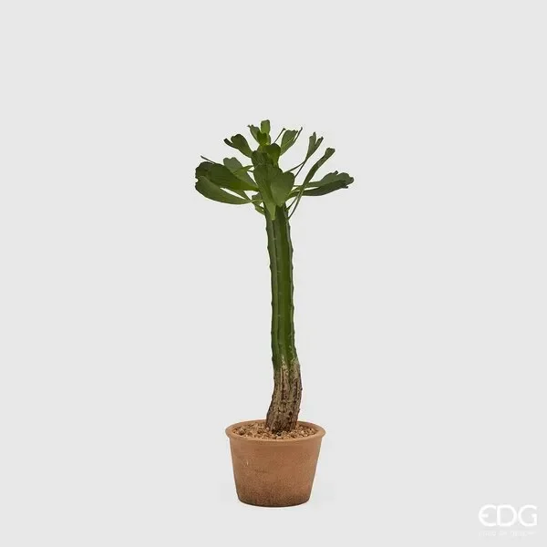 EDG Enzo De Gasperi Cactus West con Vaso Carta H 53 Cm Colore Verde