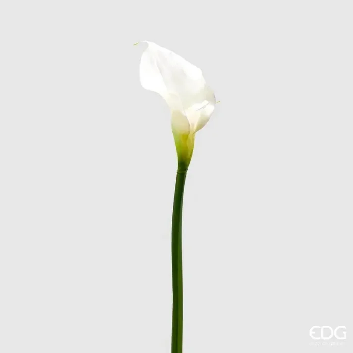 EDG Enzo De Gasperi Calla Royal Artificiale H 76 Cm White Vendita calda online