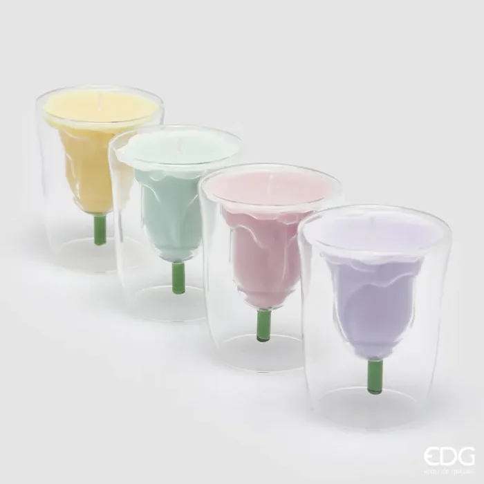 EDG Enzo De Gasperi Candela Tulipano con Profumo H 10 Cm D 8 Cm 4 Ass. Princess of the Night 1 Pz