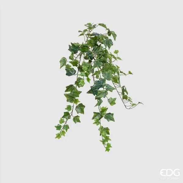 EDG Enzo De Gasperi Edera Bell Cad. x144 H71 B9 Green