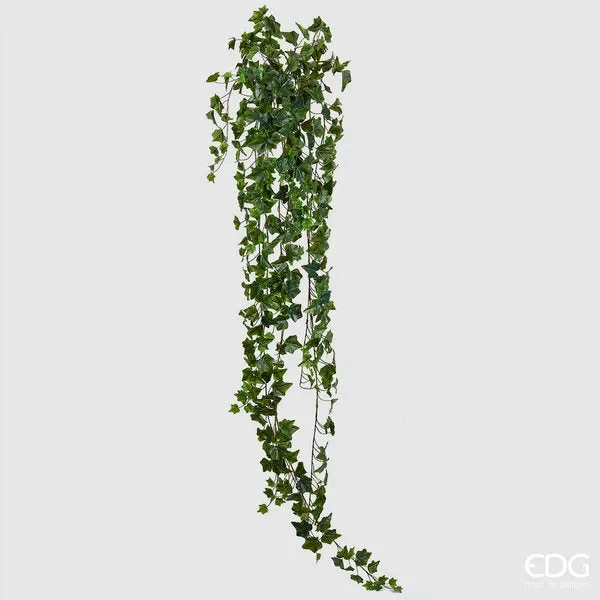 EDG Enzo De Gasperi Edera Bell Cad.X423 H183 B9 Green