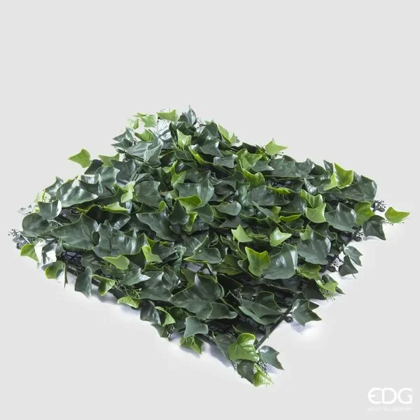 EDG Enzo De Gasperi Edera Siepe 1mtx1mt B2 Green