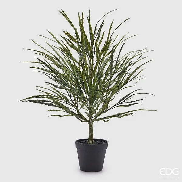 EDG Enzo De Gasperi Epifillo Con Vaso H.60 C4 Green Saldi