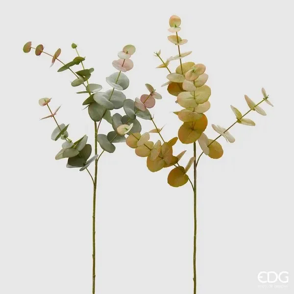 EDG Enzo De Gasperi Eucalipto Olis Ramo H 87 Cm Verde 1 Pz Online ora