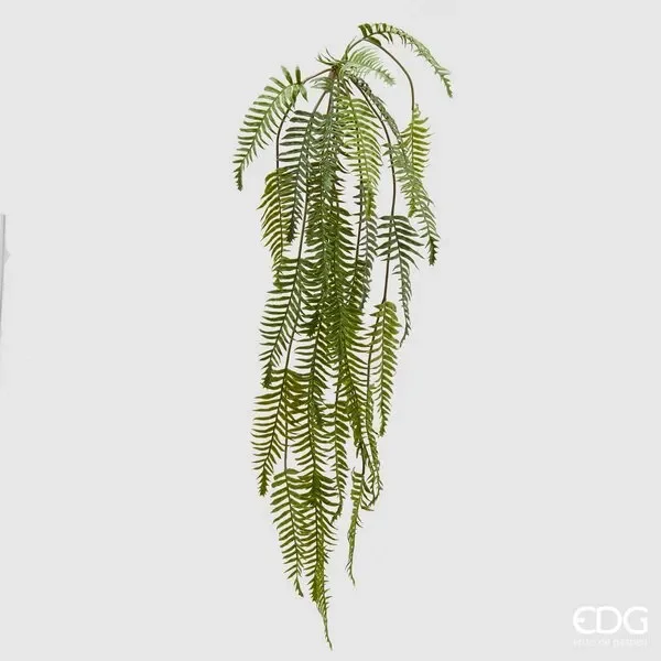 EDG Enzo De Gasperi Felce Olis Cad. H108 (28fg) C2 Green