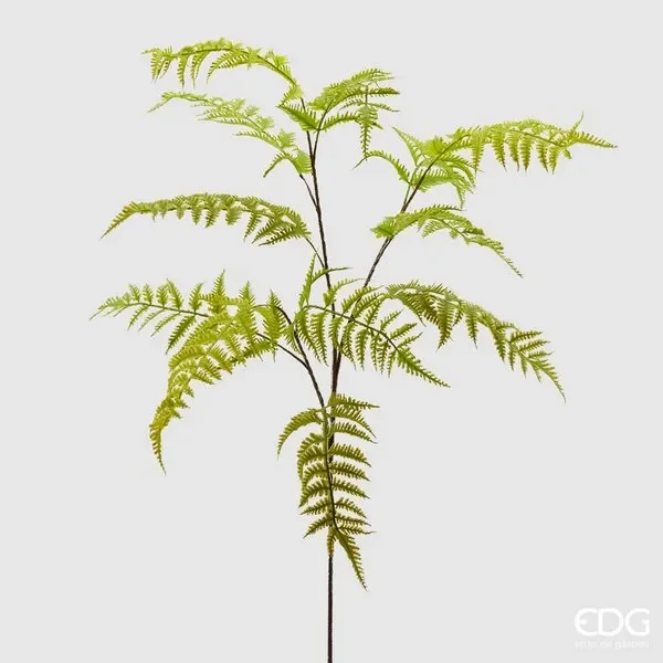 EDG Enzo De Gasperi Felce Olis Ramo H105 C2 Green