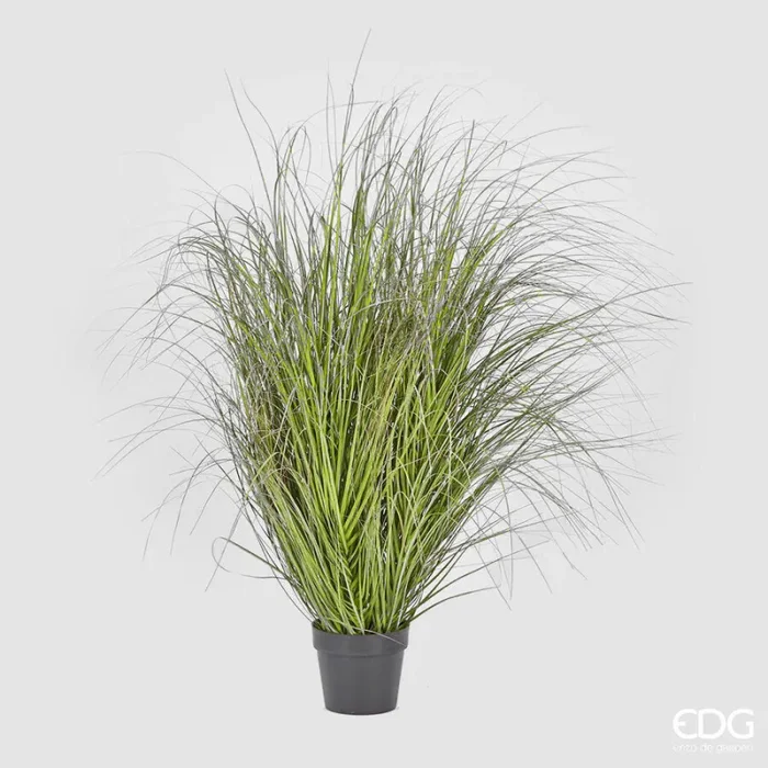 EDG Enzo De Gasperi Festuca con Vaso Artificiale H 142 Cm Green Pink
