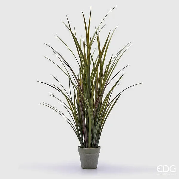 EDG Enzo De Gasperi Festuca con Vaso H 102 Cm Colore Verde